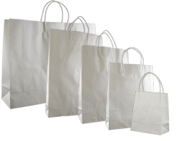 WHITE KRAFT BAGS 100 gsm - 50 bags