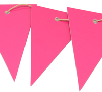 CARBOARD BUNTING TAG-Hot Pink