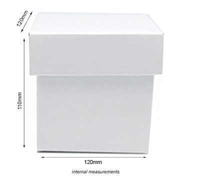 MINI GIFT BOX and LID PACK-Gloss White #3