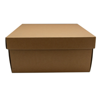 LARGE GIFT BOX and LID PACK-Natural (Splotchy)