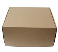 LARGE GIFT SHIPPING BOX PACK- Natural
