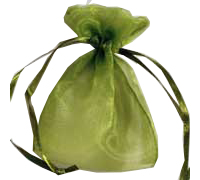 ORGANZA BAG EXTRA SMALL-Lime