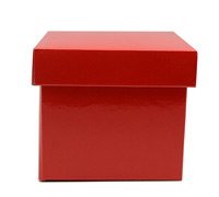 MINI GIFT BOX and LID PACK-Gloss Red